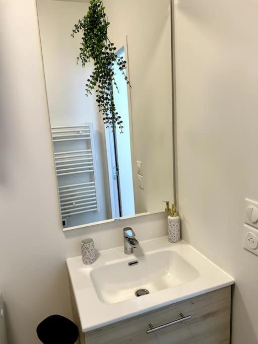 Apartament Le Romy Tuluza Zewnętrze zdjęcie